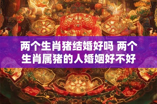 两个生肖猪结婚好吗 两个生肖属猪的人婚姻好不好
