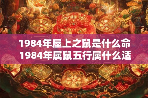 1984年屋上之鼠是什么命 1984年属鼠五行属什么适合住哪个楼层 1984年屋上之鼠是什么命 1984年属鼠五行属什么适合住哪个楼层