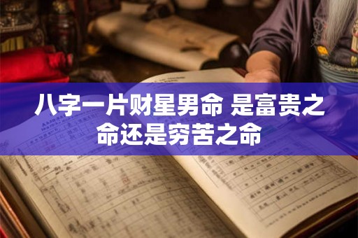 八字一片财星男命 是富贵之命还是穷苦之命