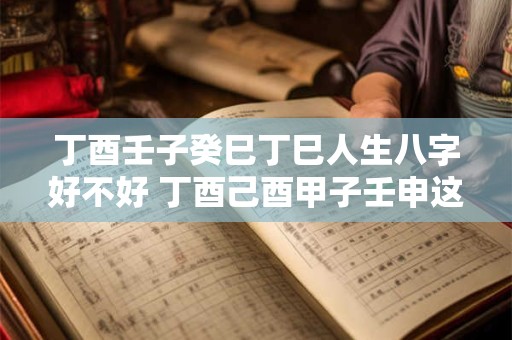丁酉壬子癸巳丁巳人生八字好不好 丁酉己酉甲子壬申这个命局怎么样
