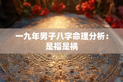 一九年男子八字命理分析：是福是祸