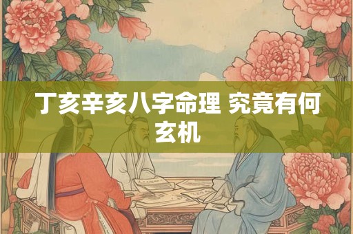 丁亥辛亥八字命理 究竟有何玄机
