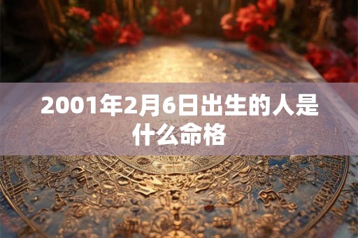 2001年2月6日出生的人是什么命格