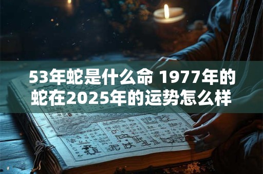 53年蛇是什么命 1977年的蛇在2025年的运势怎么样