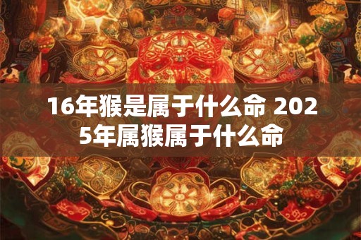 16年猴是属于什么命 2025年属猴属于什么命