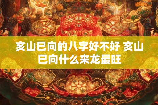 亥山巳向的八字好不好 亥山巳向什么来龙最旺