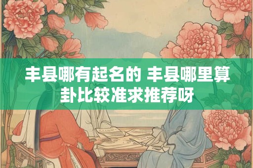 丰县哪有起名的 丰县哪里算卦比较准求推荐呀