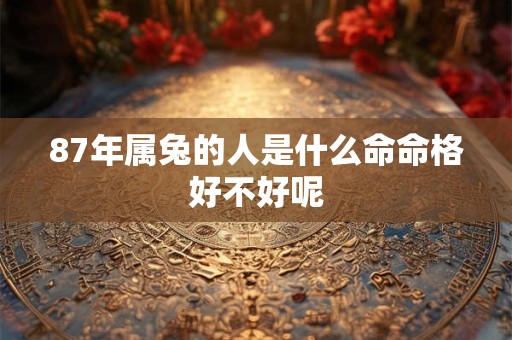87年属兔的人是什么命命格好不好呢