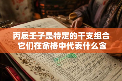 丙辰壬子是特定的干支组合 它们在命格中代表什么含义呢