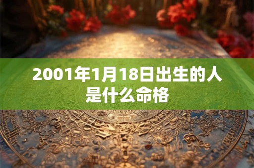 2001年1月18日出生的人是什么命格 2001年1月18日出生的人是什么命格