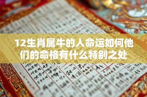 12生肖属牛的人命运如何他们的命格有什么特别之处