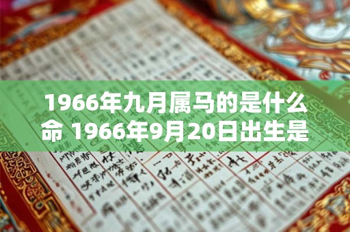 1966年九月属马的是什么命 1966年9月20日出生是什么命