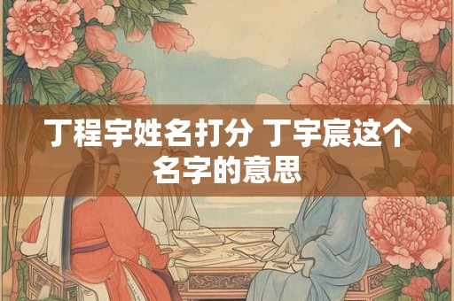 丁程宇姓名打分 丁宇宸这个名字的意思