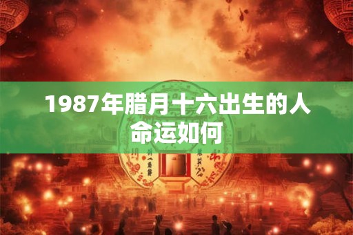1987年腊月十六出生的人命运如何