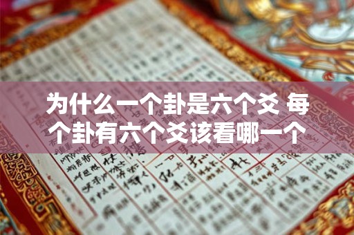 为什么一个卦是六个爻 每个卦有六个爻该看哪一个