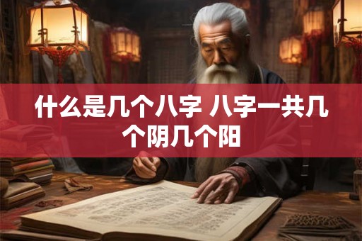 什么是几个八字 八字一共几个阴几个阳