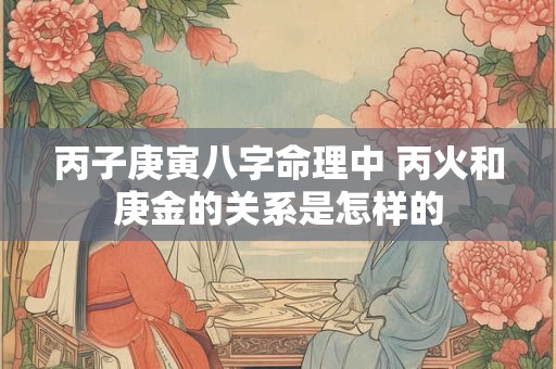 丙子庚寅八字命理中 丙火和庚金的关系是怎样的 丙子庚寅八字命理中 丙火和庚金的关系是怎样的