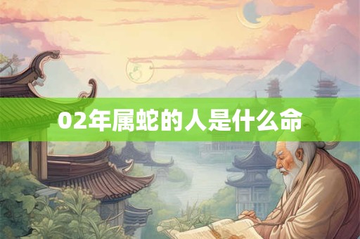 02年属蛇的人是什么命