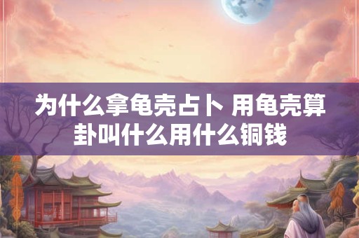 为什么拿龟壳占卜 用龟壳算卦叫什么用什么铜钱
