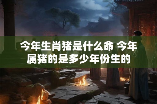 今年生肖猪是什么命 今年属猪的是多少年份生的