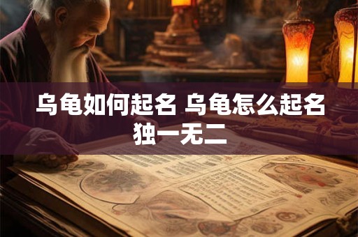 乌龟如何起名 乌龟怎么起名独一无二