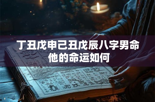丁丑戊申己丑戊辰八字男命 他的命运如何
