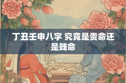 丁丑壬申八字 究竟是贵命还是贱命