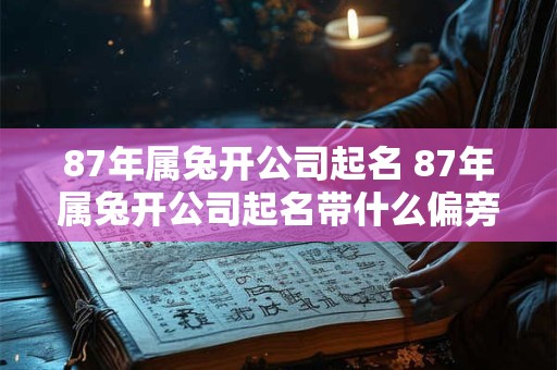 87年属兔开公司起名 87年属兔开公司起名带什么偏旁部首
