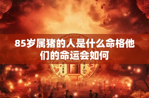 85岁属猪的人是什么命格他们的命运会如何