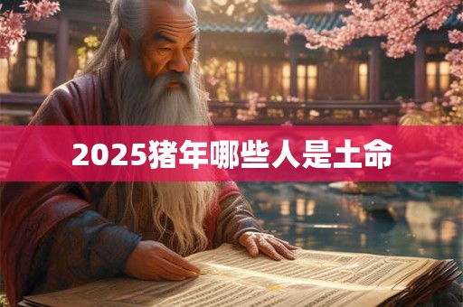 2025猪年哪些人是土命
