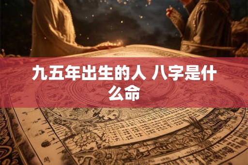 九五年出生的人 八字是什么命