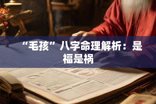 “毛孩”八字命理解析：是福是祸