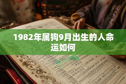 1982年属狗9月出生的人命运如何
