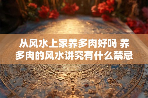 从风水上家养多肉好吗 养多肉的风水讲究有什么禁忌