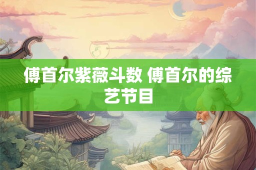 傅首尔紫薇斗数 傅首尔的综艺节目