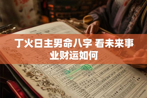 丁火日主男命八字 看未来事业财运如何