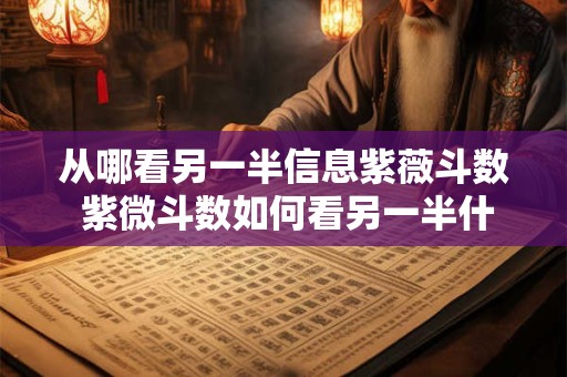 从哪看另一半信息紫薇斗数 紫微斗数如何看另一半什么时候出现