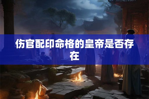 伤官配印命格的皇帝是否存在