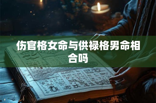 伤官格女命与供禄格男命相合吗