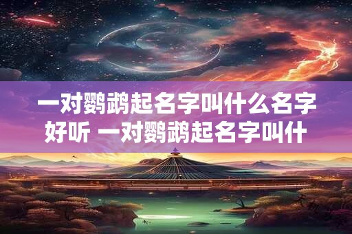 一对鹦鹉起名字叫什么名字好听 一对鹦鹉起名字叫什么名字好听呢