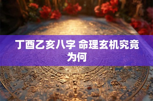 丁酉乙亥八字 命理玄机究竟为何