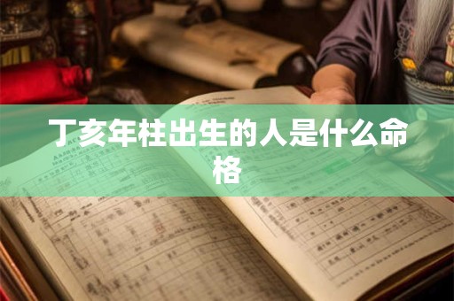丁亥年柱出生的人是什么命格
