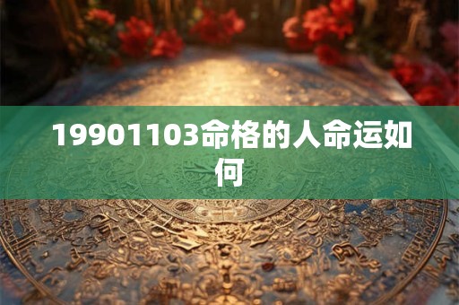 19901103命格的人命运如何