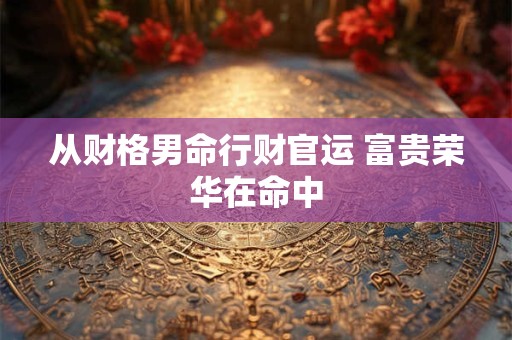从财格男命行财官运 富贵荣华在命中