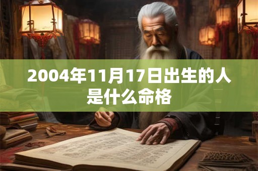 2004年11月17日出生的人是什么命格