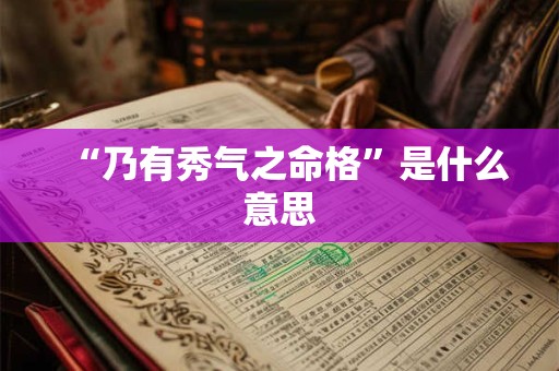 “乃有秀气之命格”是什么意思