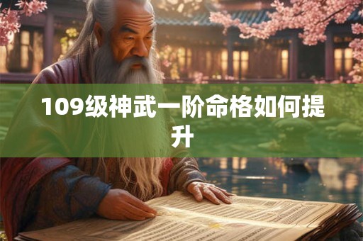 109级神武一阶命格如何提升