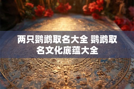 两只鹦鹉取名大全 鹦鹉取名文化底蕴大全