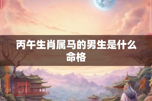 丙午生肖属马的男生是什么命格