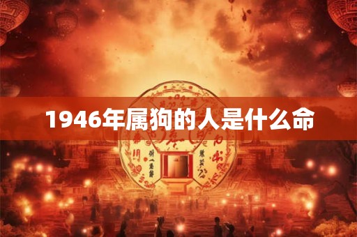 1946年属狗的人是什么命 1946年属狗的人是什么命